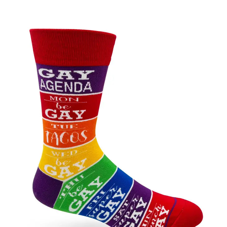 Gay Agenda Socks