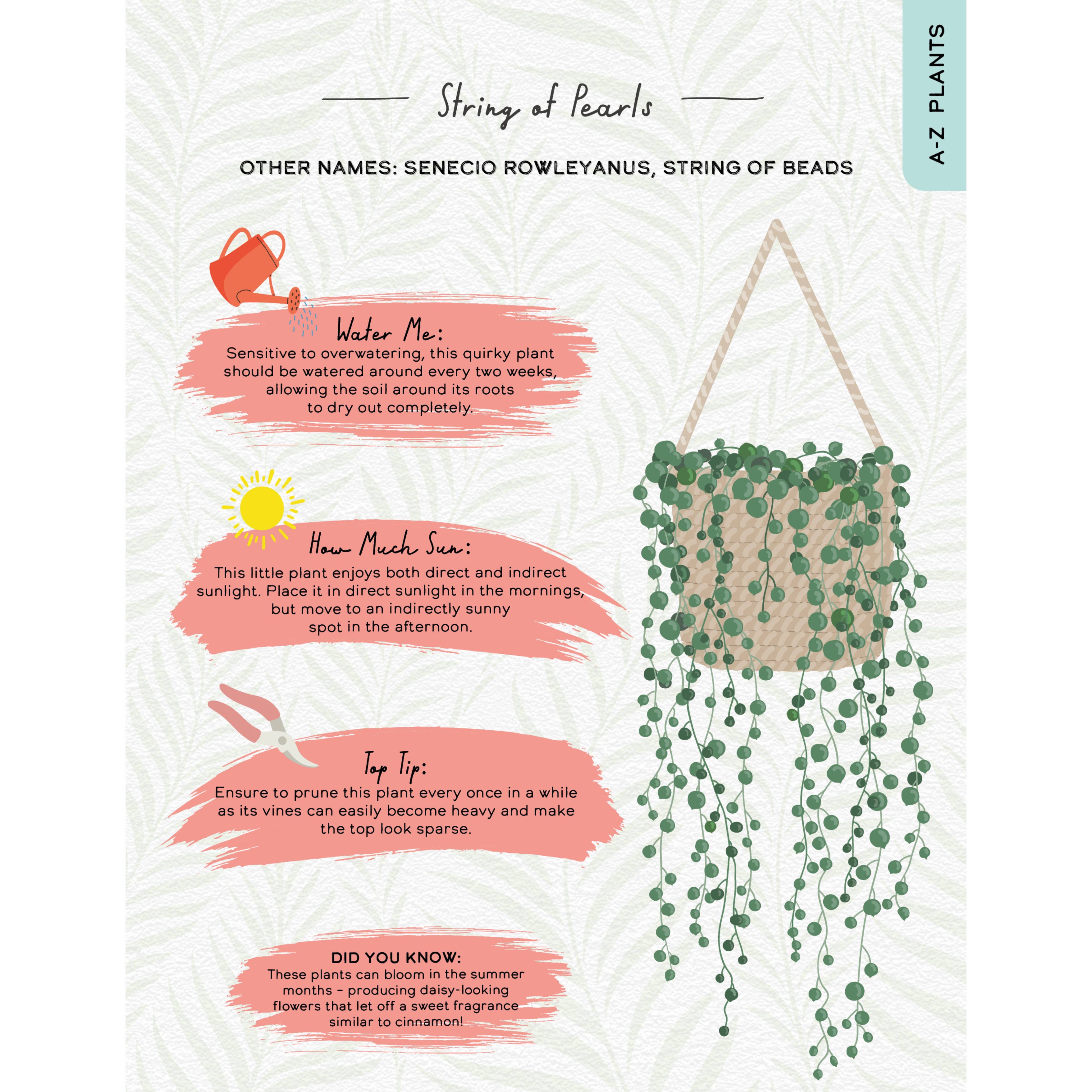 Please Don't Die - Houseplants Guide Book for Plant Parents