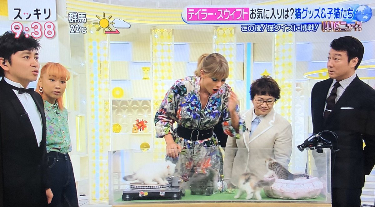 Taylor Swift watching kitten play with this DJ cat scratcher