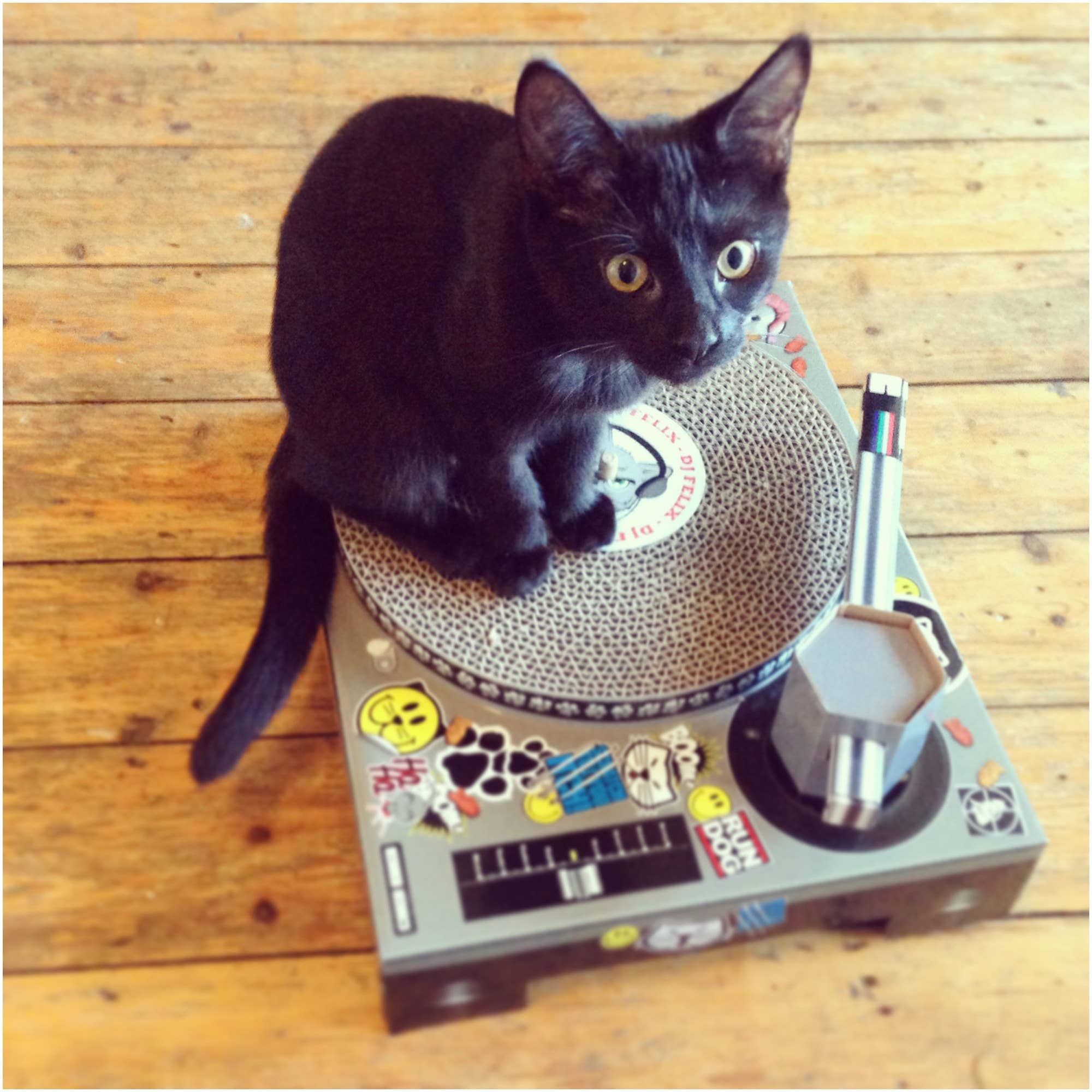Cat Scratch Pad - DJ Deck