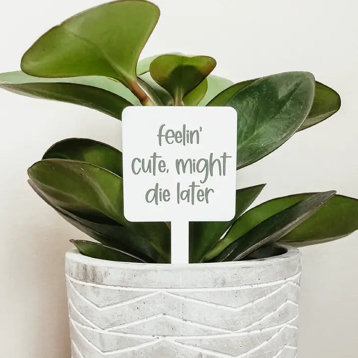 Feelin' Cute Plant Marker