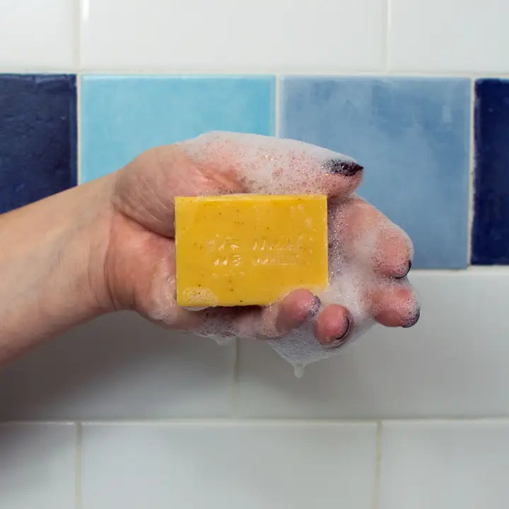 And Jesus Washed - Funny Soap