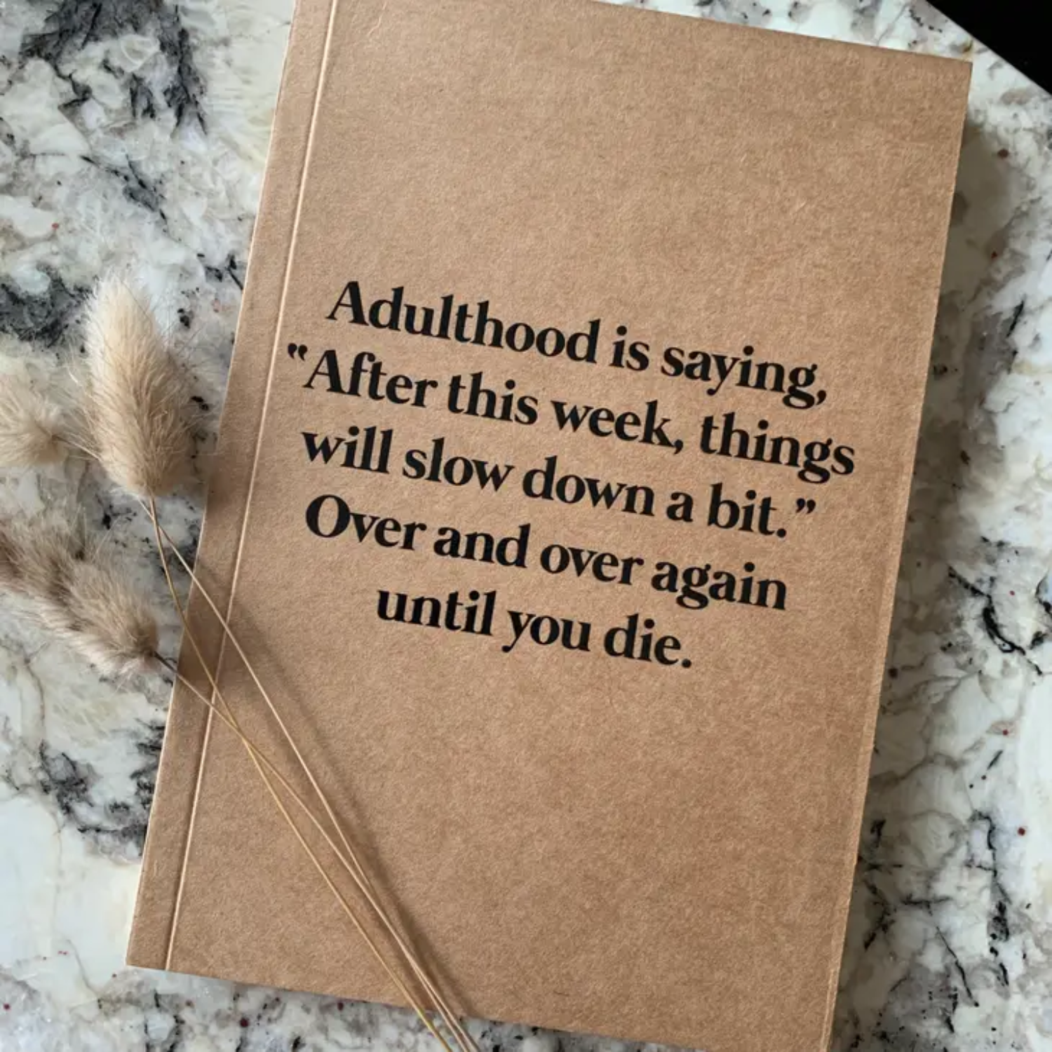 Funny Journal, Funny Notebook