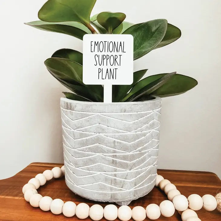 Funny Plant Marker, Funny Plant Gift, Plant Gift