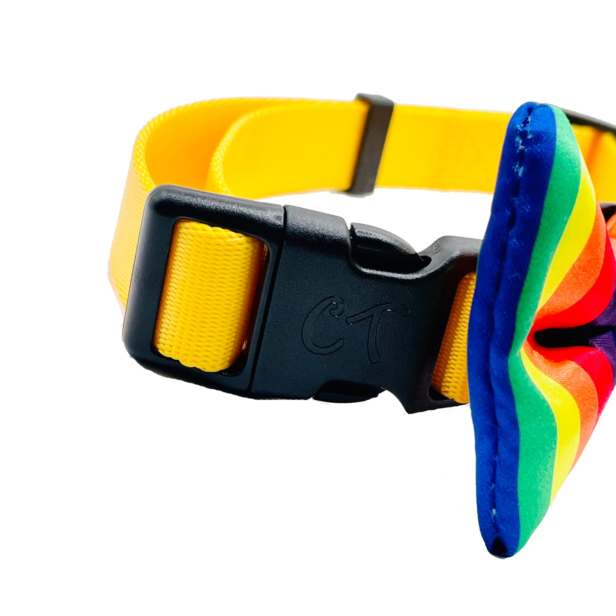 "Love is Love" Pride Rainbow Bowtie | Bowties for Dogs